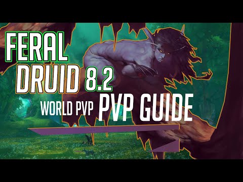 Feral Druid | 8.2.5 BFA World PVP  | Complete PvP Guide