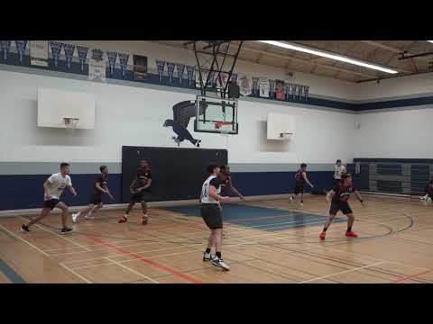 Dalewood vs Schwifty - sunday tier 4 - tcbl 2022 spring