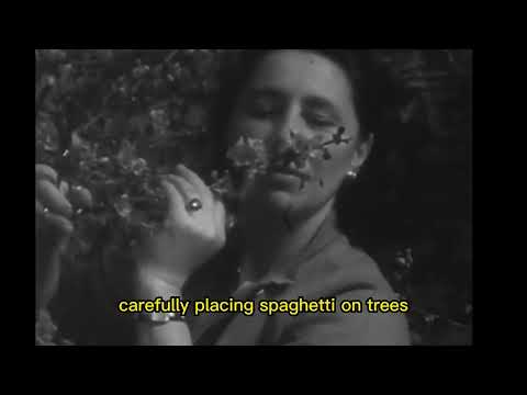 Spaghetti Trees Exist?