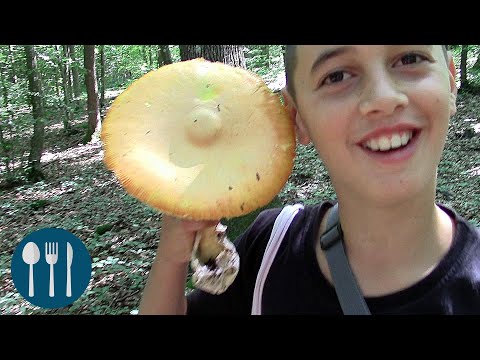 БЛАГВА /Amanita caesarea/ - исхрана у природи