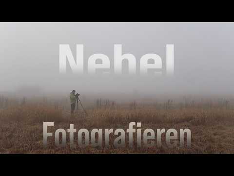 Ist das zu viel? Fotografieren im Nebel