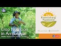 Crop Nutrition in Ampalaya Crop Nutrition in Ampalaya