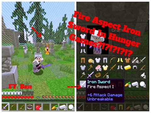 Fire Aspect Iron Sword?!?!?!?!? | Mineplex Hunger Games #6