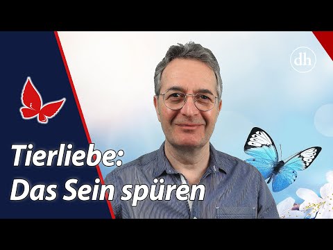 Tierliebe: Das reine Sein spüren