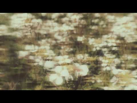 Marin Esteban - Distraction (Visualiser)