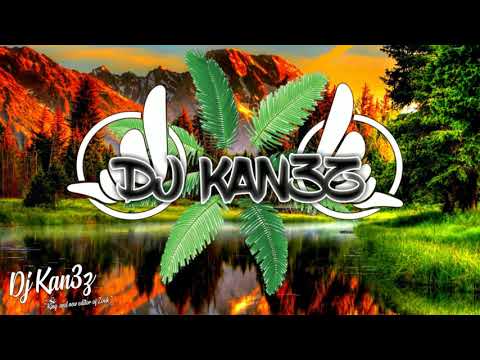 DJ KAN3Z X YOUKA - J'ai tout fait ( KOMPA RMX 2019 )