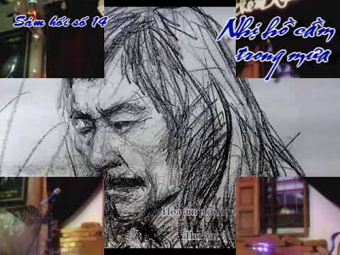 Nhị hồ cầm trong mưa - Diệu Hiền