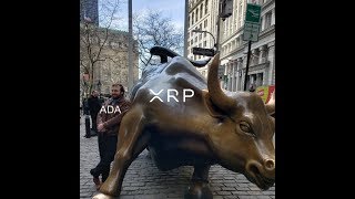 How High Does XRP Price Need To Be? And Ripple In India