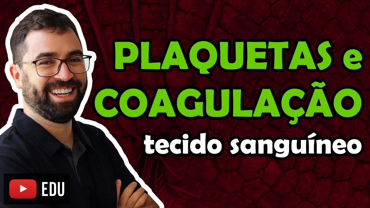Plaquetas e Coagulação Sanguínea - Aula 11 - Módulo VII: Histologia e Fisiologia Humana | Prof. Gui