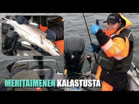 Meritaimenen kalastusta ulkomerellä marraskuussa - Meritaimen - Lusikkauistin - Jasu - Eumer Fishing