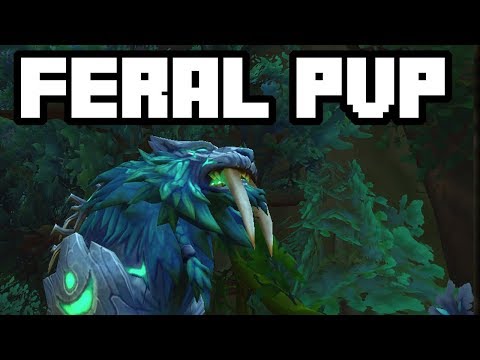 Kotmogu Ko - Feral Druid PvP Legion 7.3.2