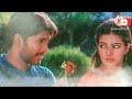 Yeh Dil Kisi Ki Mane Na Hain Pagla Allu Arjun Romantic Lofi Song