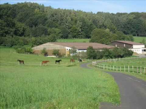 Europahof_Hosenfeld.wmv