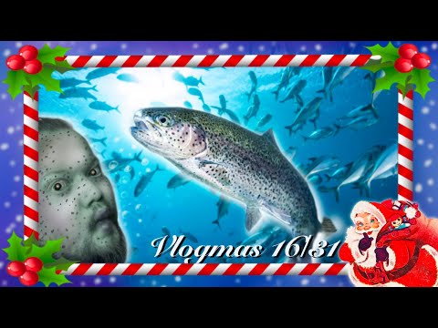 PASTRMKE 🐟 Pripreme za Slavu #1 🎅🏻 Vlogmas 16/31 🎄