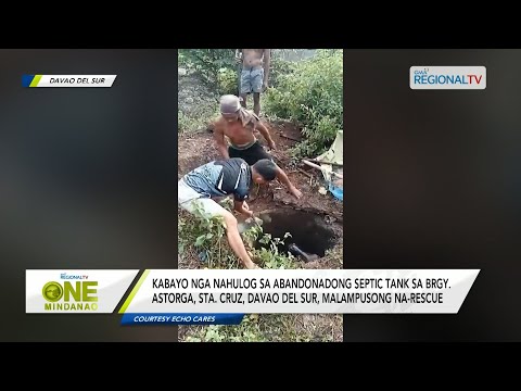 One Mindanao: Kabayo nahulog sa abandonadong septic tank sa Brgy. Astorga, Sta. Cruz, Davao Del Sur