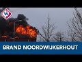 Grote brand verwoest sporthal Noordwijkerhout - OMROEP WEST