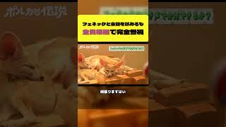 フェネックの鳴き声で会話を試みるも完全無視されるポルカ【尾丸ポルカ/ホロライブ切り抜き】