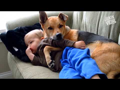 CUTE BABIES AND DOGS POWERFUL MOTIVATION  TO #BABIES | #BRIGHTSIDE | Canine University
