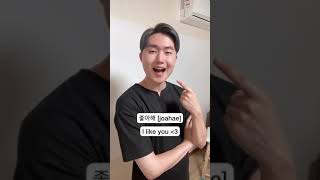 Download lagu Learn Korean / How to Say I Like You in Korean mp3 Download lagu Learn Korean / How to Say I Like You in Korean mp3