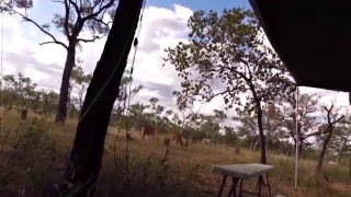 Gold prospecting, Dells Hole, Queensland, Australia