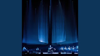 I Would Hurt A Fly (Live)