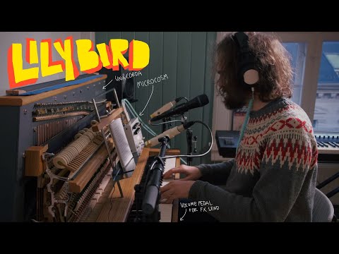 Lilybird performed on an Una Corda and Microcosm