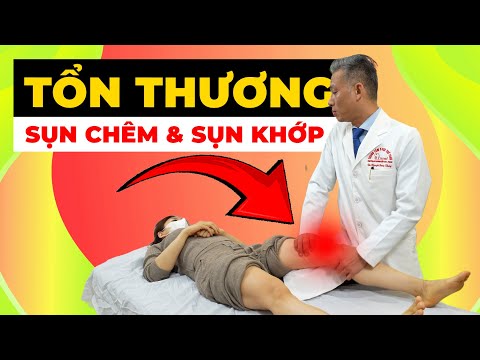 Sụn Chêm & Sụn Khớp Thoái Hóa Do Quá Tải Đang "Ăn Mòn" Cuộc Sống Bạn!
