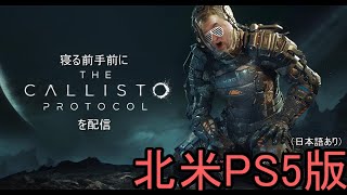 (第２夜)寝る前手前にCallistoProtocolを配信