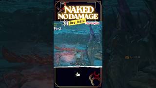 【全クリへの道】裸ノーダメージランス編