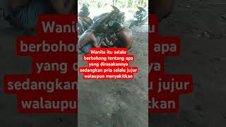 Download lagu wanita selalu berbohong mp3