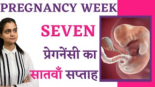 Pregnancy के 7 weeks में क्या होता है, क्या करना चाहिए, शिशु का विकास, क्या खाना चाहिए - Hindi Video