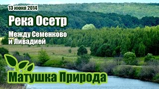 Рыбалка на осетре тульской области в анишино