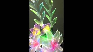 File Mar 09, 6 17 03 PM