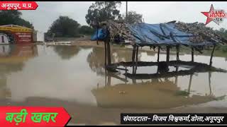 preview picture of video 'अनूपपुर: जिला के डोला में पानी-पानी।'