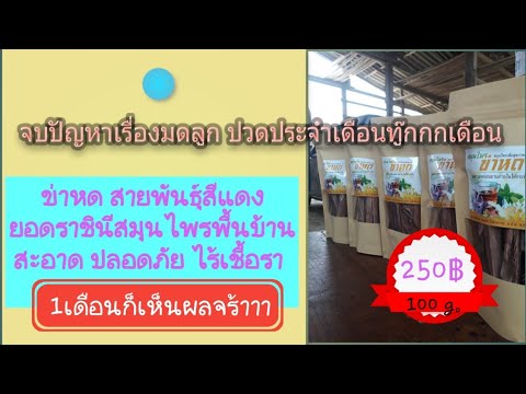 คลิกเพื่อดูคลิปวิดีโอ
