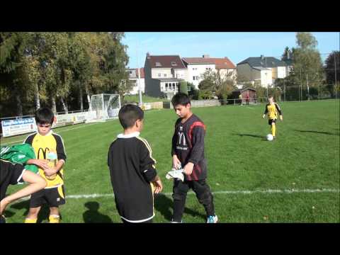 Poussin: 211021012 STEINSEL ALISONTIA - BEGGEN AVENIR