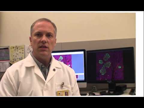 Dr. Corentin Cras-Méneur