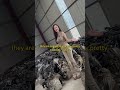 youtube thumb
