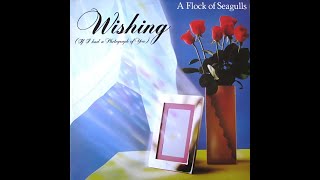 A Flock Of Seagulls - Wishing (If I Had a Photograph of You) [Long Version]