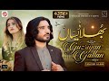 Bhula Desaan Guzriyan Galan Teriyan Nishaniyan Tanveer Anjum Punjabi Saraiki Song Out Now