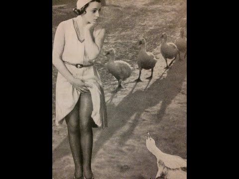 Paul Godwin Tanz Orchester, Gänseparade, Novelty-Foxtrot, Berlin, 1930