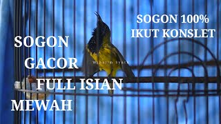 Download lagu Indonesian yellow hummingbirds eat nectar, the sound of luxury songs mp3