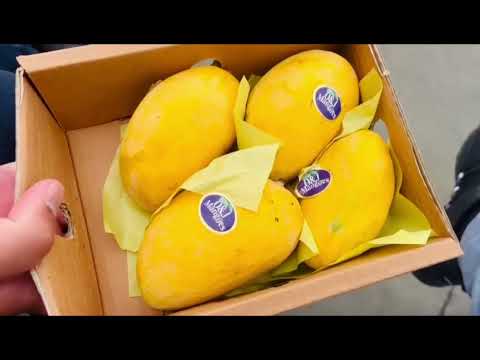 Bury park with Aneeq butt || abidalib1