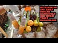 NUTRISI SEMUT RANGRANG DAN HEWAN LAINYA DENGAN GIZI TINGGI TAMPA ADA EFEK SAMPING Semutrangrang