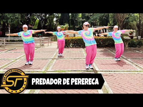 PREDADOR DE PERERECA ( Dj Johnrey Remix ) - Tiktok Viral | Dance Trends | The South Force