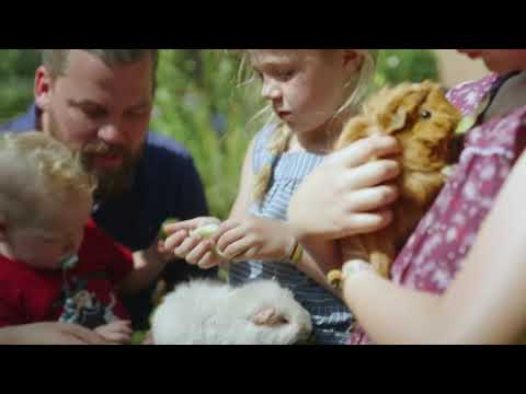 PSD Bank Nord eG - Filiale Bremen - Baufinanzierung, Geldanlage, Kredit, Girokonto YouTube-Vdeominiatur 2