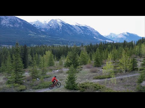 Trailer Trailblazing: The Matt Hadley Story