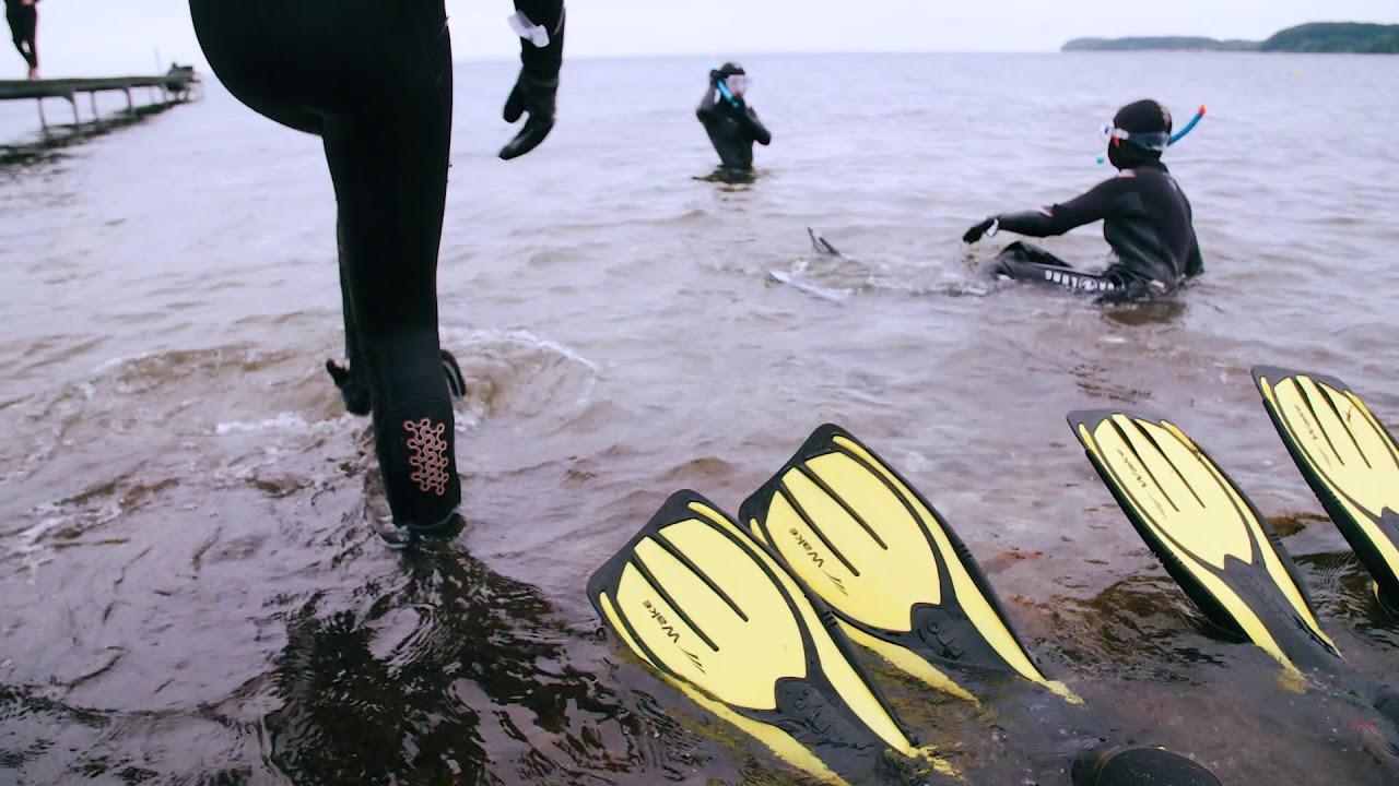 UNDINE II Snorkel Schools