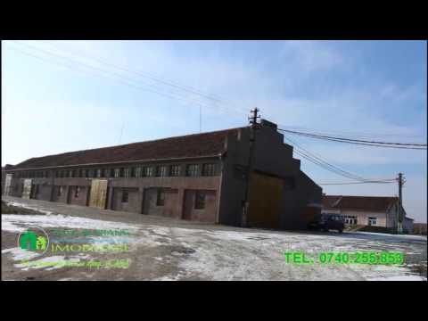 1.125.300 - SUPER AFACERE - Complex 9 Hale in Sanicolau Mic