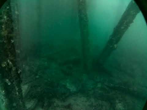 Rapid Bay Live by AusOcean 29/08/2023